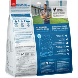 orijen freeze dried adult dog food